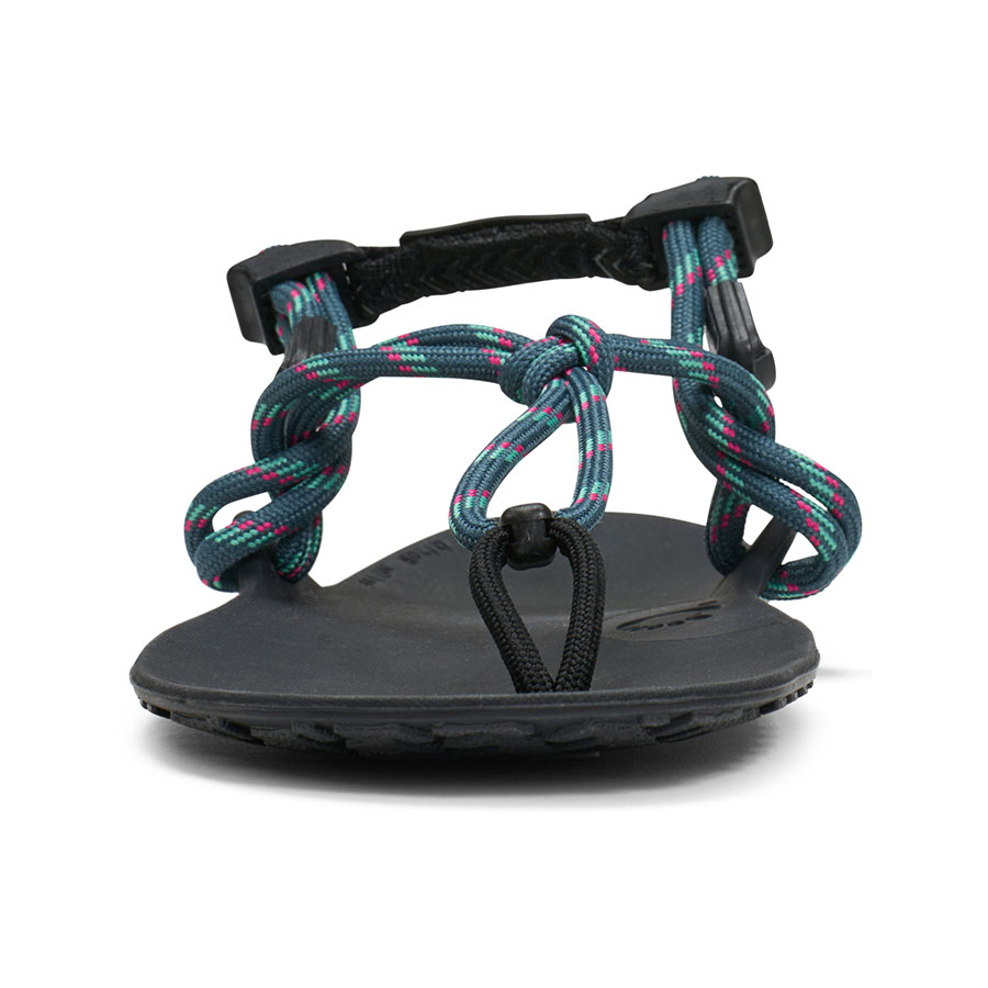 株式会社ケンコー社 / ジェネシス