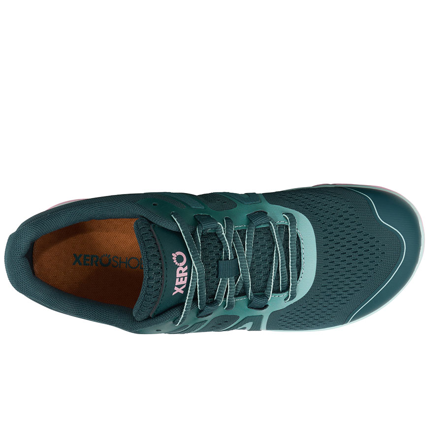 ナツハゼ/ 686 株式会社ケンコー社 / W's エイチエフエス2