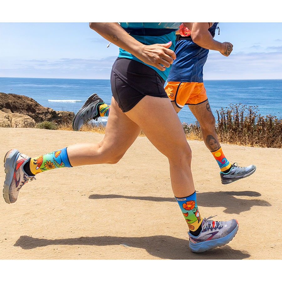 イナワシロン イナワシロン 最新ver. イナワシロン 最新ver. ZX Ignition